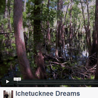 Eric Flagg's Ichetucknee Dreams Film