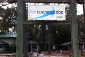 teaching zoo
