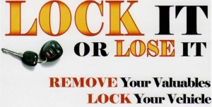 Lock it or Lose It2