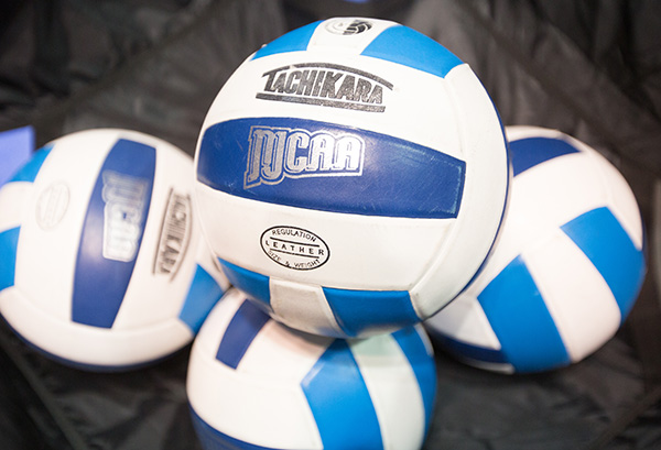 Picture of a pile of Volleyballs