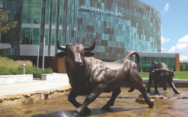 Bronze bull in front of building at University of South Florida