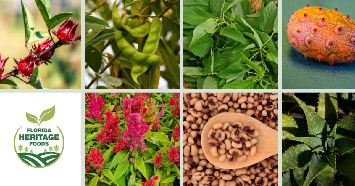 Thumbnail images of a variety of Florida Heritage Foods like Pigeon Peas, roselle and aloe. Logo from www.FloridaHeritageFoods.com