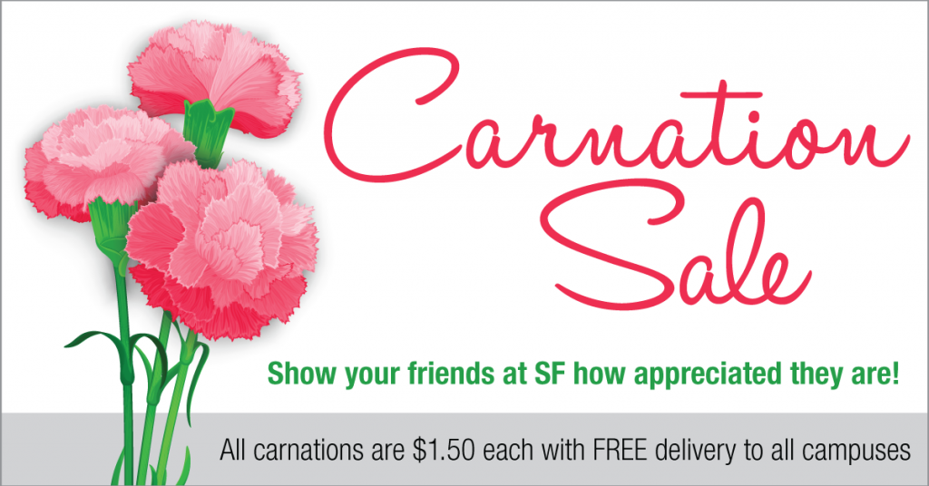 Carnation Sale in pink with a white background and pink and green flowers