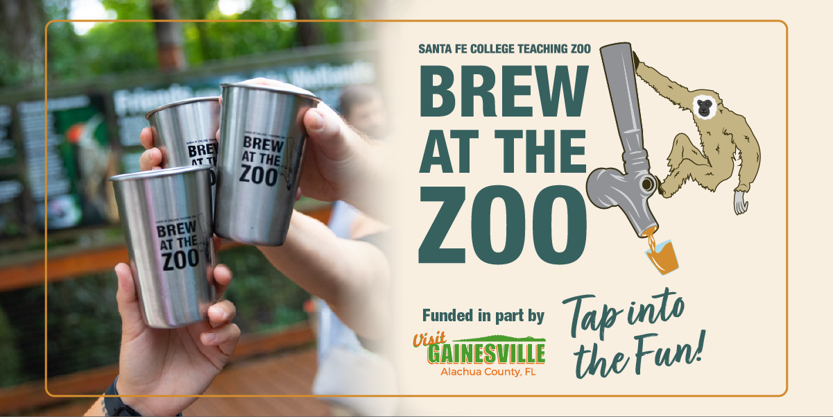 Brew at the Zoo logo featuring a beer tap with a gibbon hanging off the side. Graphic fades to picture of two hands holding pint glasses.