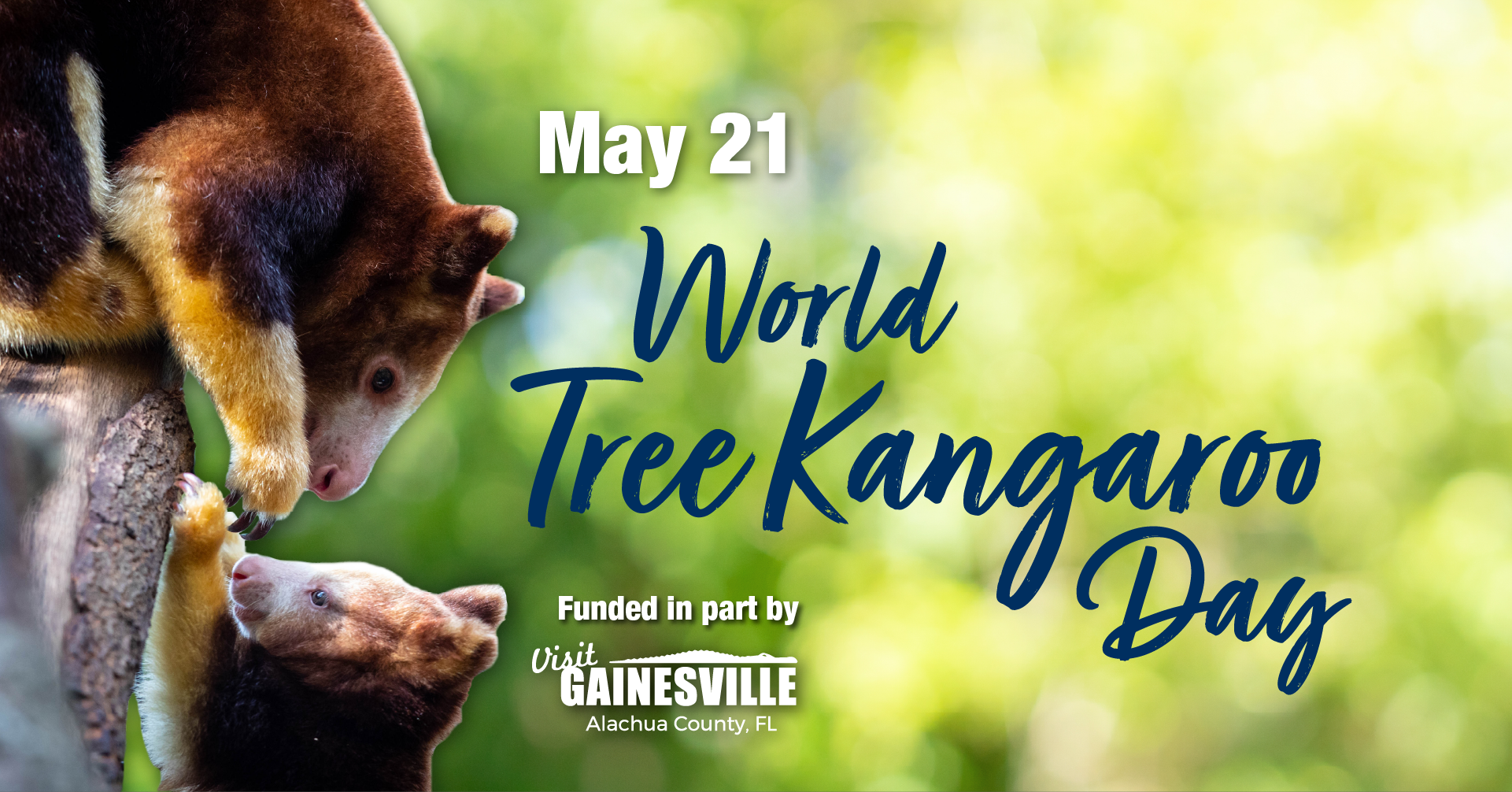 A tree kangaroo leans over to its baby. Caption: May 21 World Tree Kangaroo Day. VisitGainesville logo.