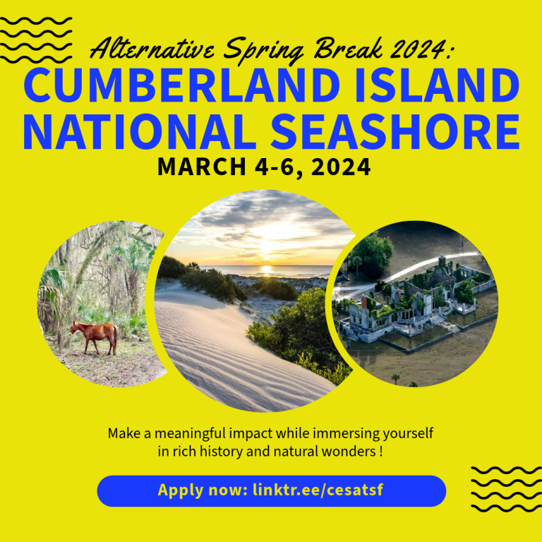 Alternative Spring Break 2024 Cumberland Island National Seashore