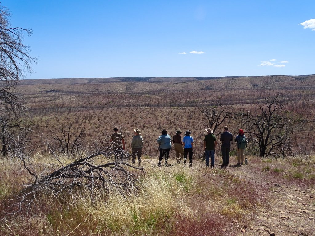 A group of people standing in a field